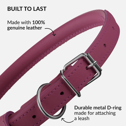 CollarDirect Rolled Leather Dog Collar, Soft Padded Round Puppy Collar, Handmade Genuine Leather