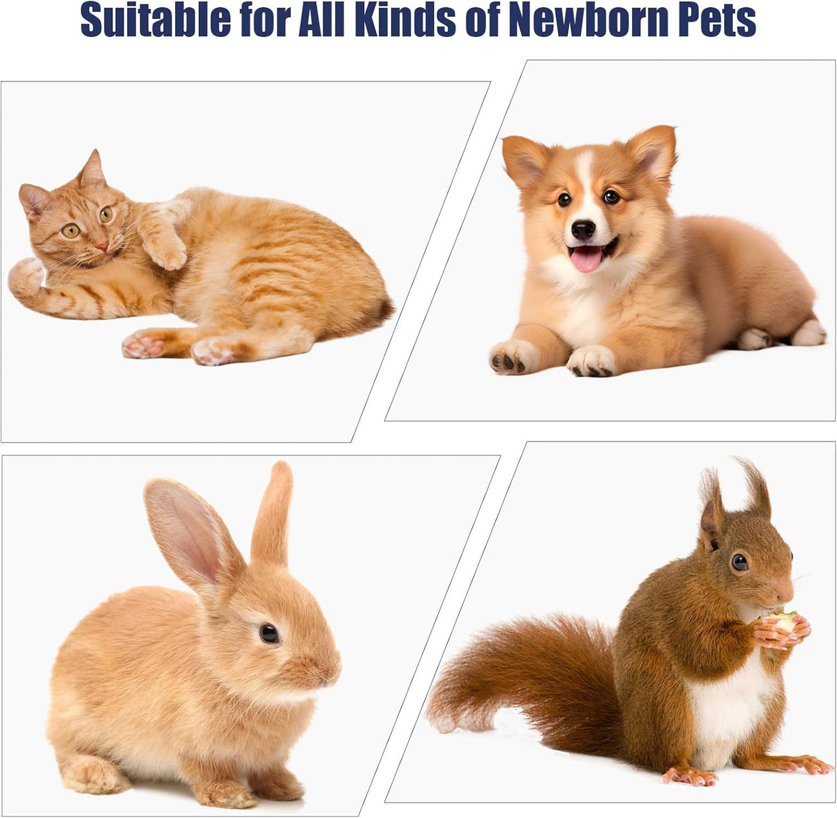 Newborn Puppy Kitten Small Animal Sterile Mucus Extractor Suction Catheter, Animal Kid Puppy Kitten