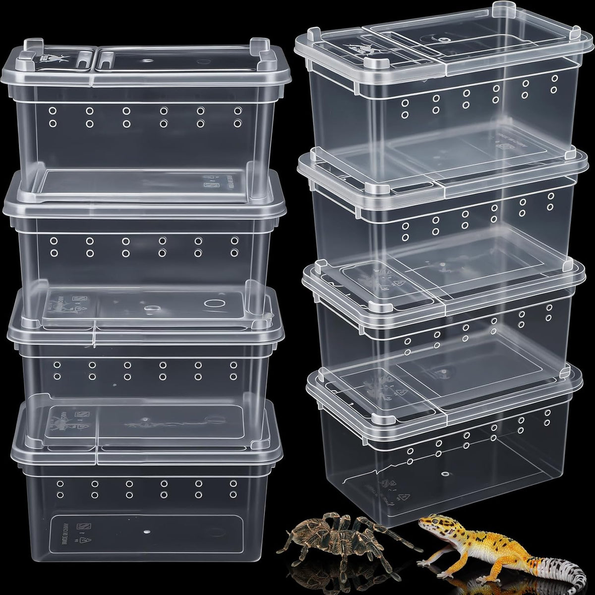 Irenare 8 Pcs Reptile Breeding Breeding Box Plastic Spider Terrarium Tarantula Feeding Box for
