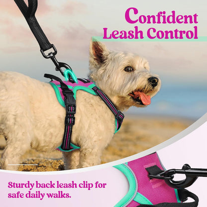 rabbitgoo Dog Harness No Pull with 2 Leash Clips, Adjustable Soft Padded, Reflective Oxford No