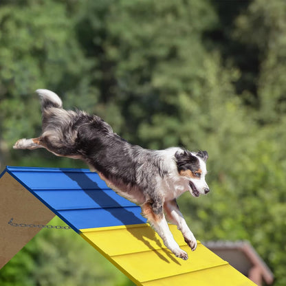 Dogs Agility Course Backyard Set, Dog Agility Equipment, Non-Slip Dog Agility A-Frame, 84” x 24”