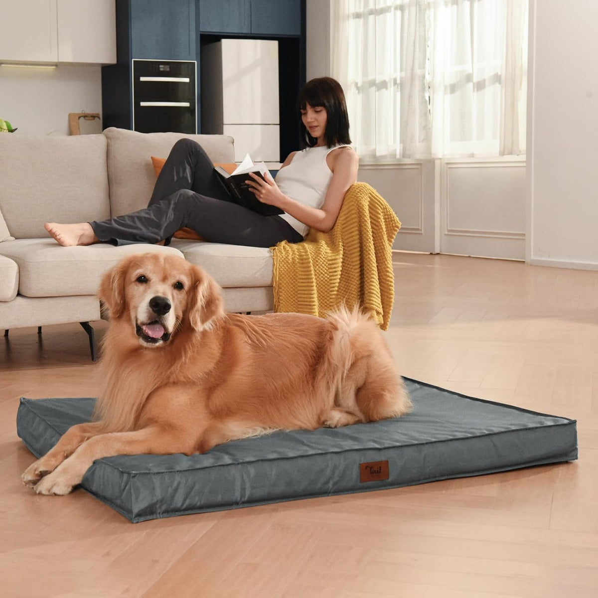 Outdoor Large Dog Bed, Waterproof Dog Bed for Large Dogs, Egg Crate Foam Pet Bed with Removable