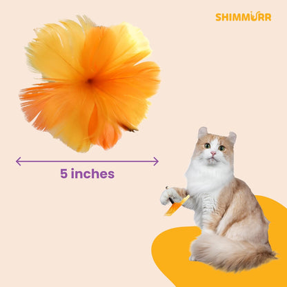 Cat Feather Wand Toy - 38" Retractable Cat Wand Toy with Orange Feather Flower Teaser Refill for