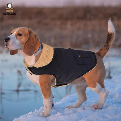 Queenmore Warm Puffer Dog Coat, Quilting Winter Jacket Ultra Thick Plush Lining with Storage