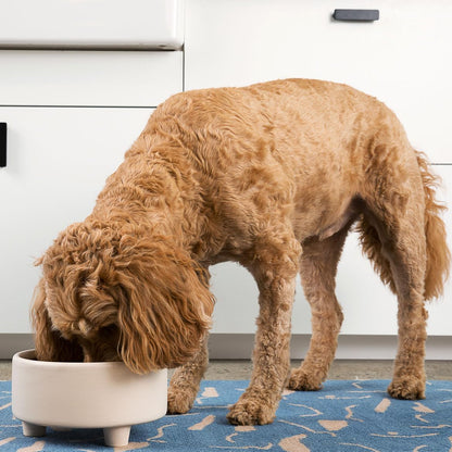 Waggo Uplift Ceramic Dog Bowl for Small Medium and Large Breeds - Heavyweight and Durable Pet Food
