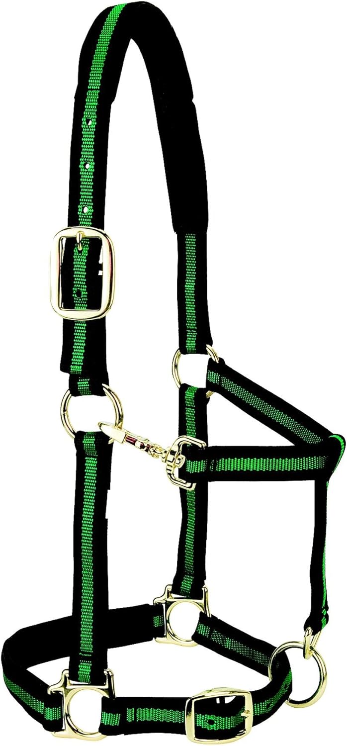 Weaver Leather Nylon Horse Halter, Padded and Adjustable, Chin and Throat Snap Hook Halters for