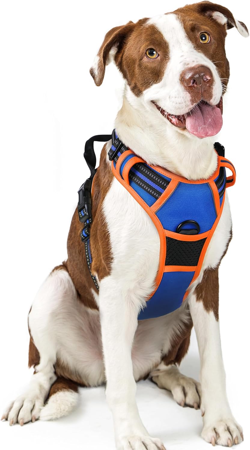 rabbitgoo Dog Harness No Pull with 2 Leash Clips, Adjustable Soft Padded, Reflective Oxford No
