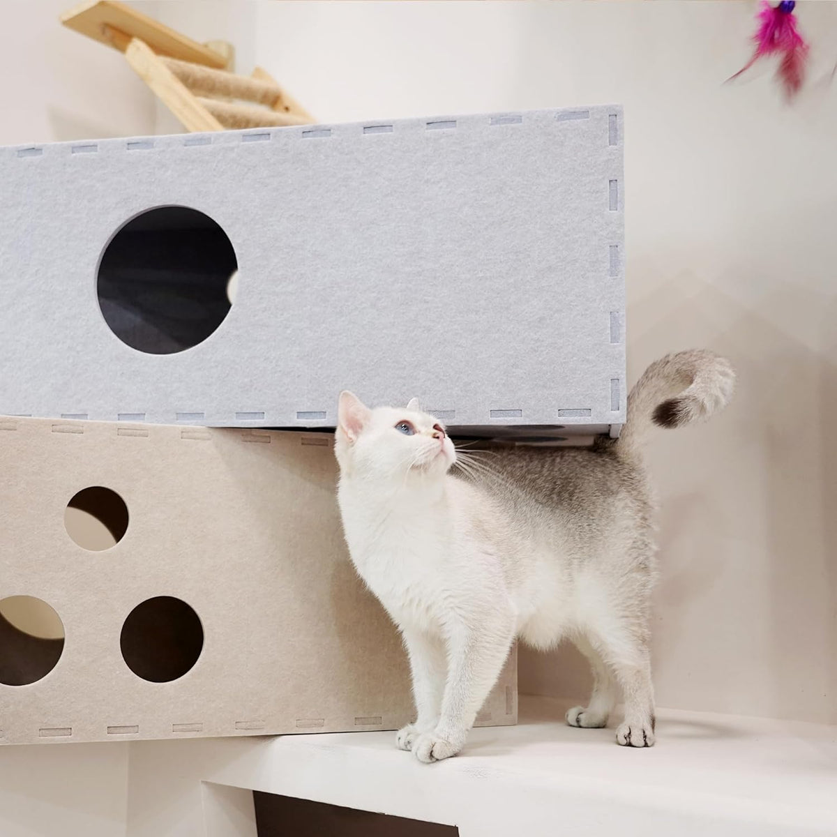 PETKARAY Cat Tunnel, Original Cat Hideaway Cave for Indoor Cats, Large Kitten Play Tubes and