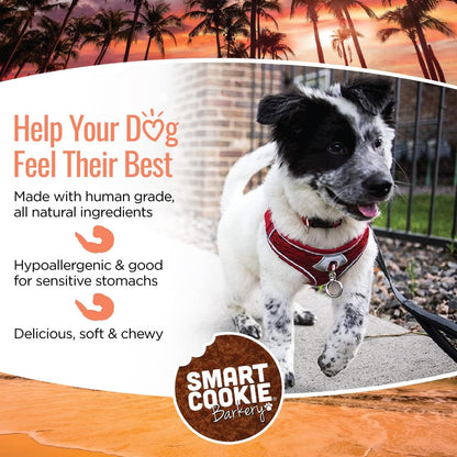Smart Cookie All Natural Soft Dog Treats - Shrimp & Coconut - Healthy Dog Treats for Allergies