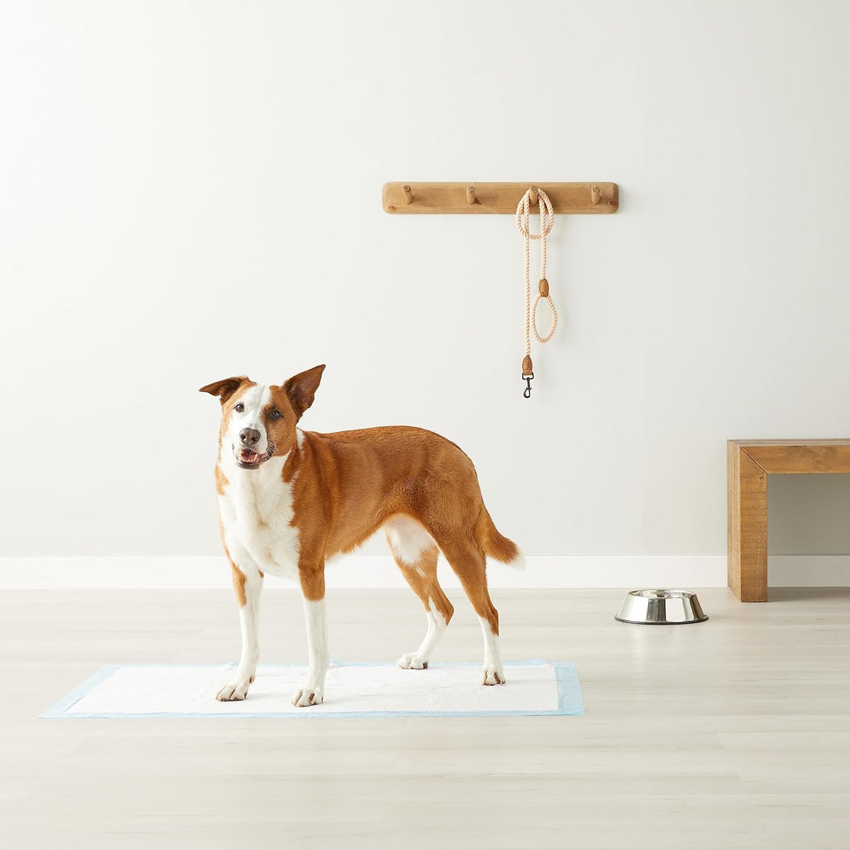 Amazon Basics Absorbent Dog and Puppy Pee Pads with 5-Layer Leak-Proof Design and Quick-Dry Surface