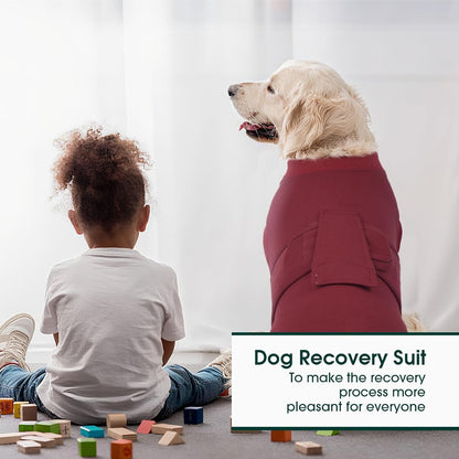 Kuoser Dog Surgery Recovery Suit, Recovery Suit for Female Male Dogs, Dog Onesie After Surgery Spay
