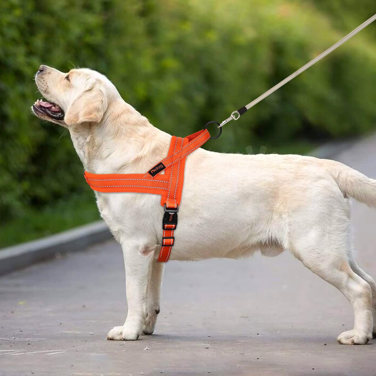Didog No Pull Dog Harness with Soft Mesh Padded,Reflective & Quick Fit Light Weight Dog Strap Vest