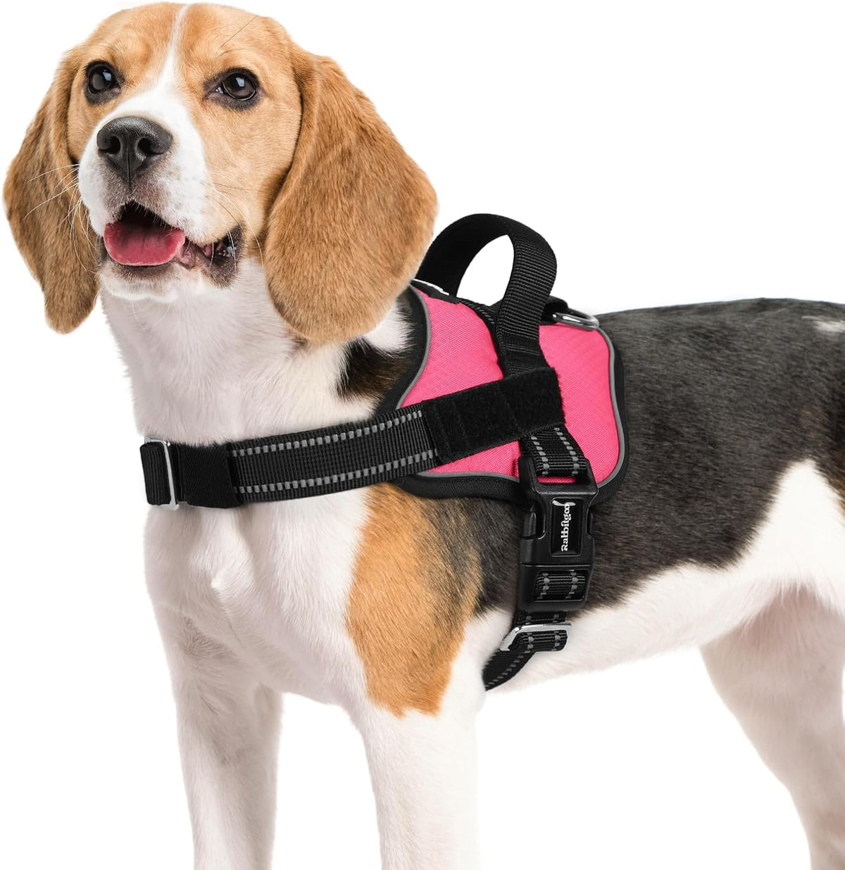 rabbitgoo Dog Harness Medium Sized, Easy On Pet Vest with One Buckle, No Pull Adjustable Service
