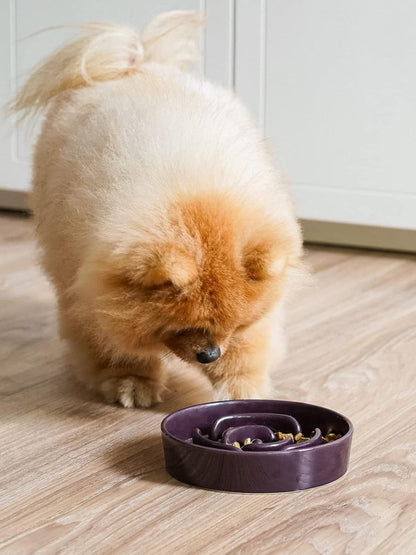LE TAUCI Ceramic Slow Feeder Dog Bowls Small Breed, 0.6 Cups Dog Food Dish for Fast Eaters, Puzzle