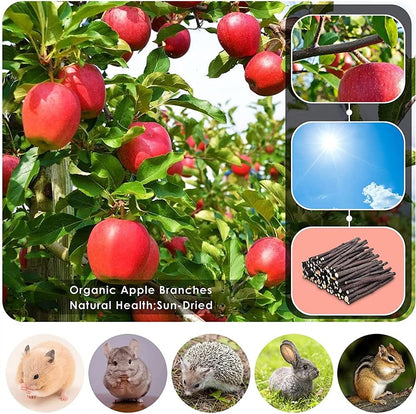 Rabbit Toys, 3 Types Hamster Chew Toys for Teeth Grinding, Improve Dental Health, Best Bunny Toys