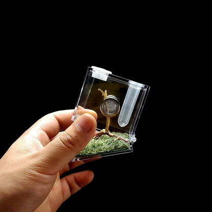 crapelles Jumping Spider Micro Middle Habitat, Small Pet Insect Breeding Box, 360 Degree