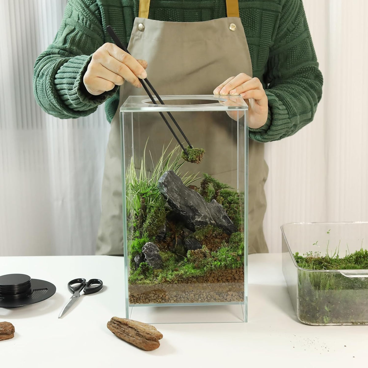 Desktop Glass Plant Terrarium with Grow Light(L7.8 W7.8 H14), for Succulent, Moss, Miniature