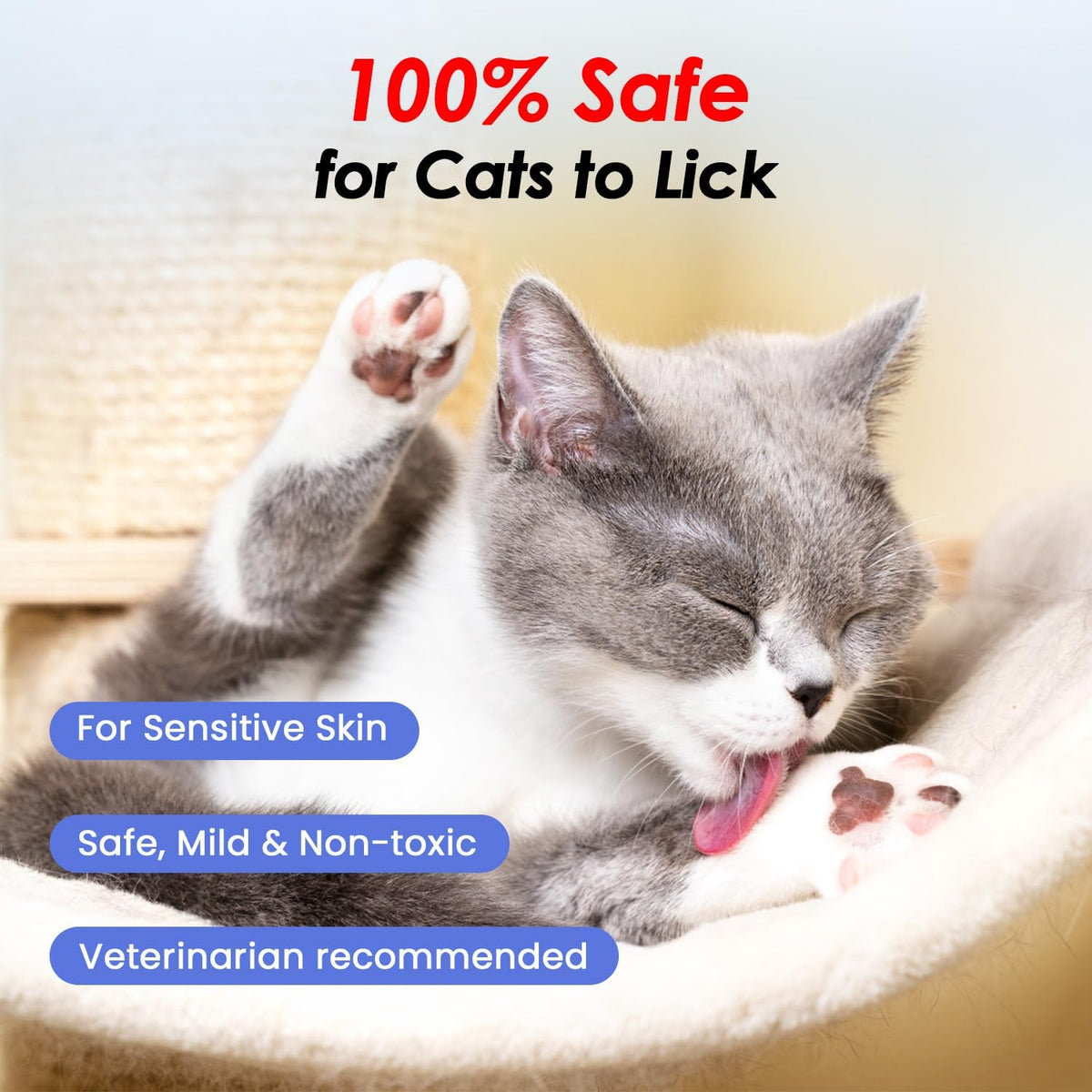 Cat Waterless Shampoo - No Rinse Formula for Quick Clean Between Baths, Hypoallergenic &