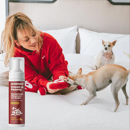 OH NORMAN! Hypoallergenic Magic Mandarin Scent Fresh and Foamy Dry Shampoo for Dogs by Kaley Cuoco