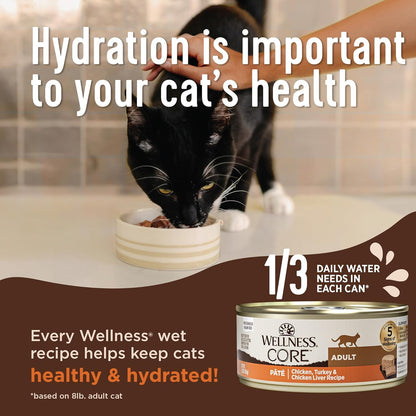 Wellness CORE+ Indoor Pate Adult Wet Cat Food, Natural, Protein-Rich, Grain Free, 5.5 Ounce, 24