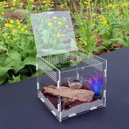 Magnetic Acrylic Case, micro habitat small Tarantula Enclosure enclosure for arboreal Tarantula