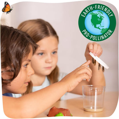 Insect Lore Butterfly Garden Kit with Live Caterpillars – Grow 10 Painted Lady Butterflies | STEM