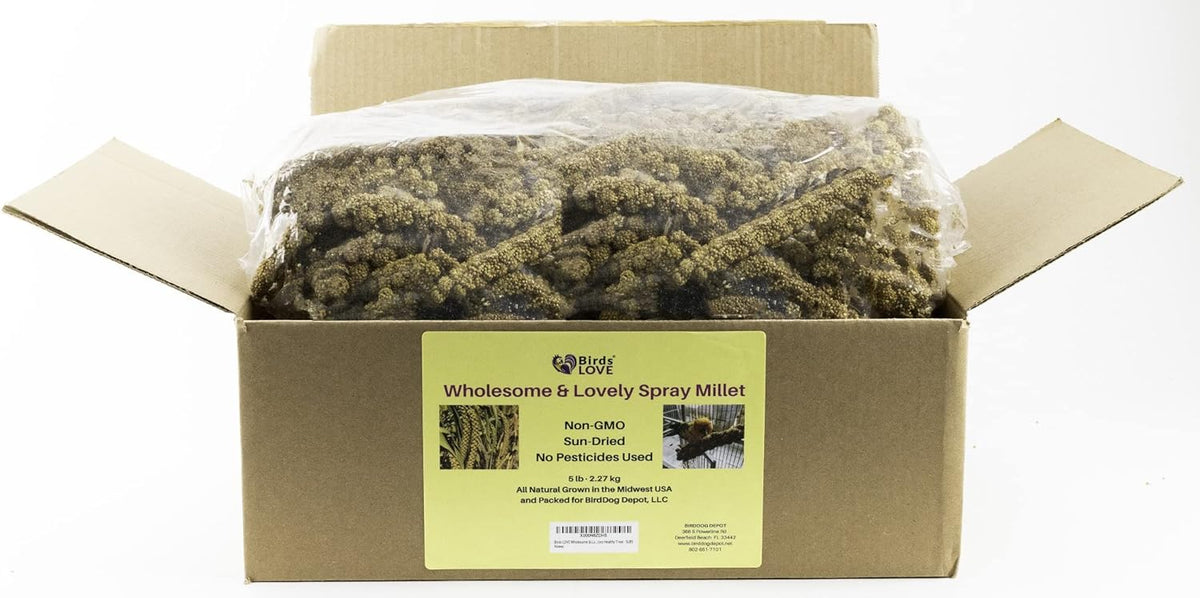 Birds LOVE Wholesome & Lovely Spray Millet Non-GMO (No Stems Only Edible Tops) for Parrots Birds