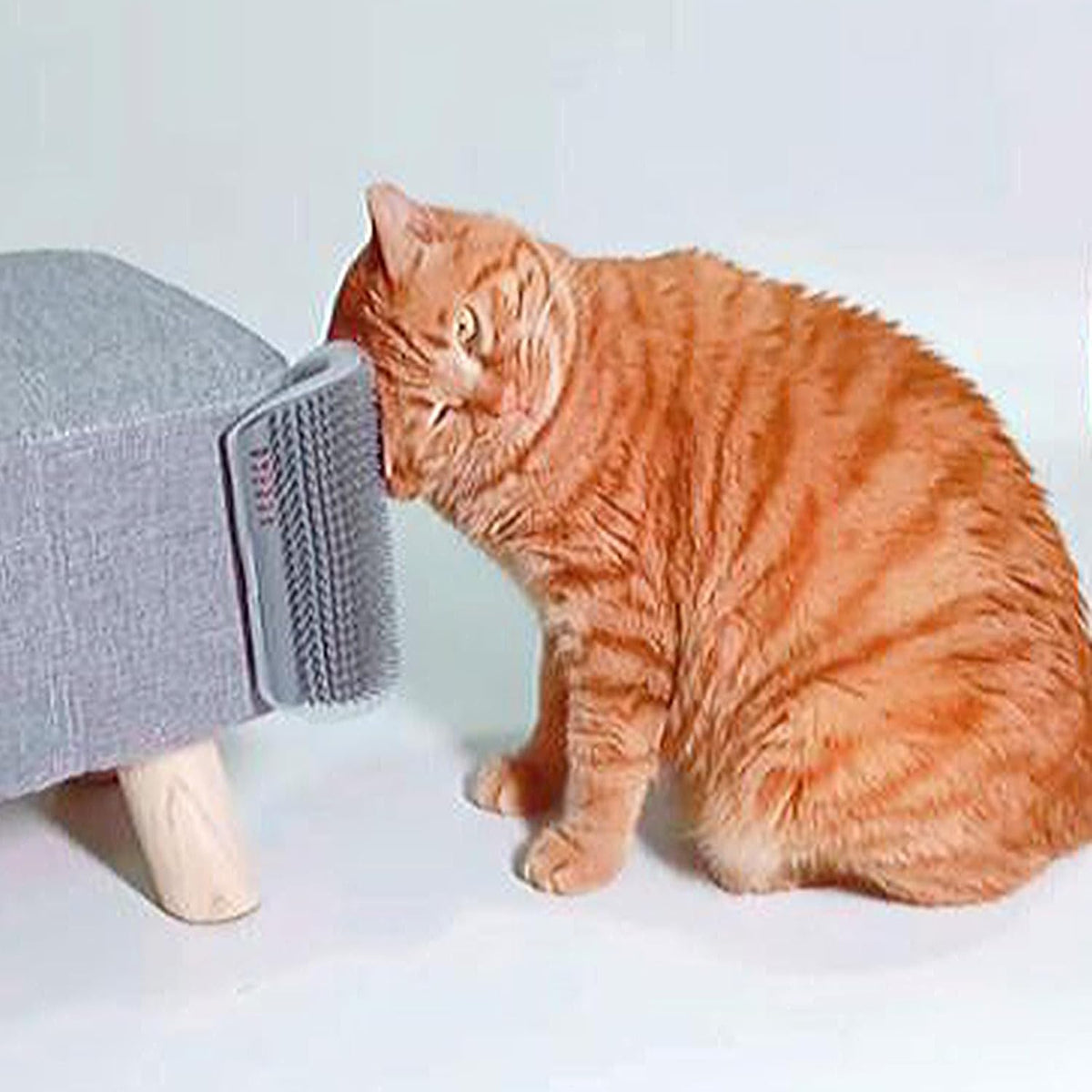 Extended (6.1") 2 Pack Self Grooming Cat Brush - Wall Corner Scratcher with Massage Combs for Long