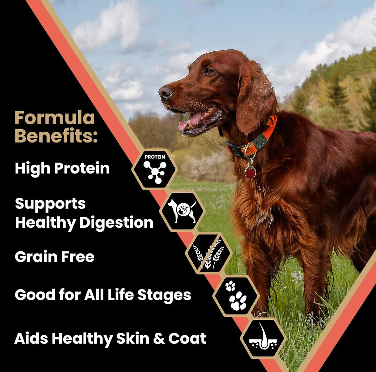 VICTOR Super Premium Dog Food – Grain Free Yukon River Canine – Supports Immune & Digestive Health