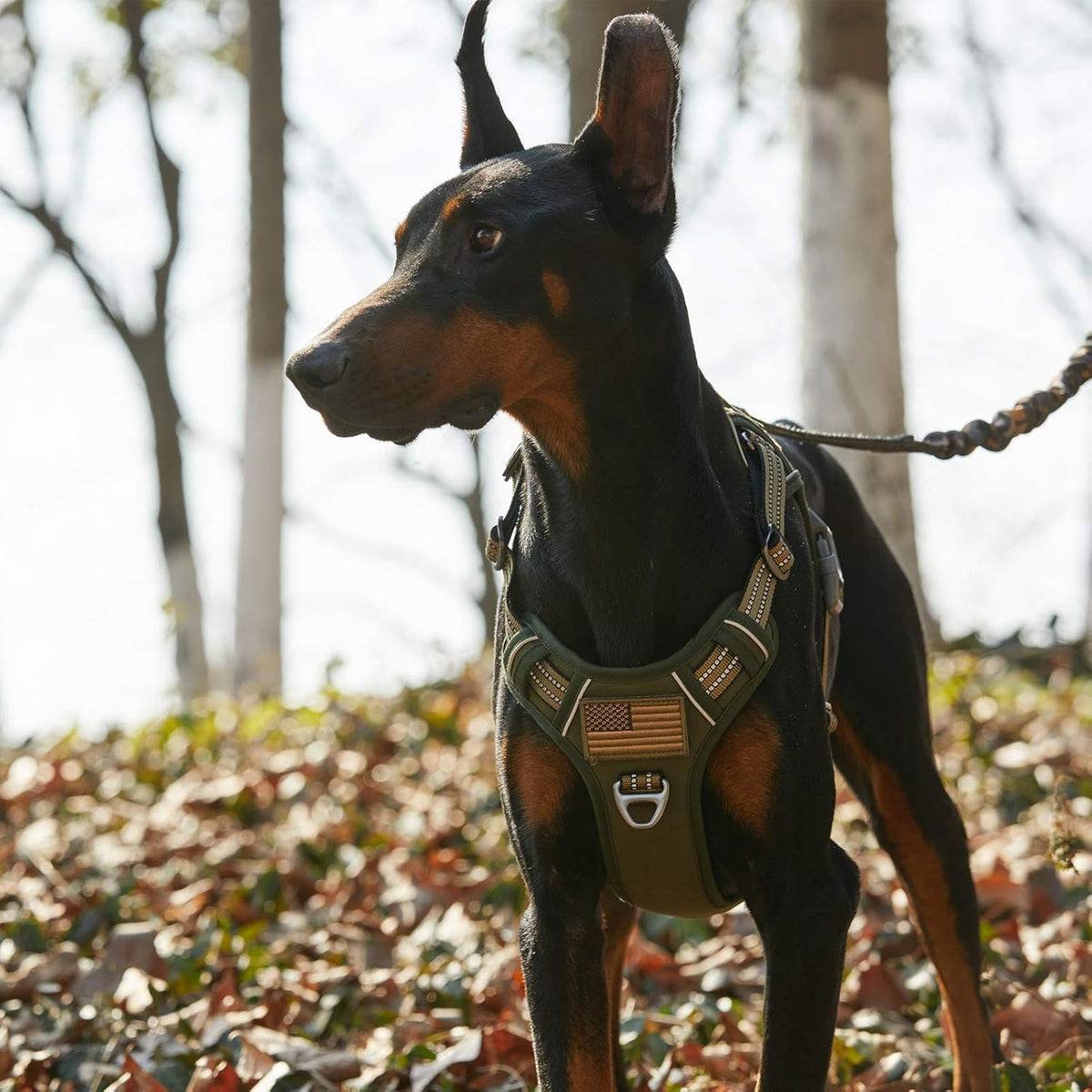 BUMBIN Tactical Dog Harness for Small Dogs No Pull, Famous TIK Tok No Pull Puppy Harness, Fit Smart