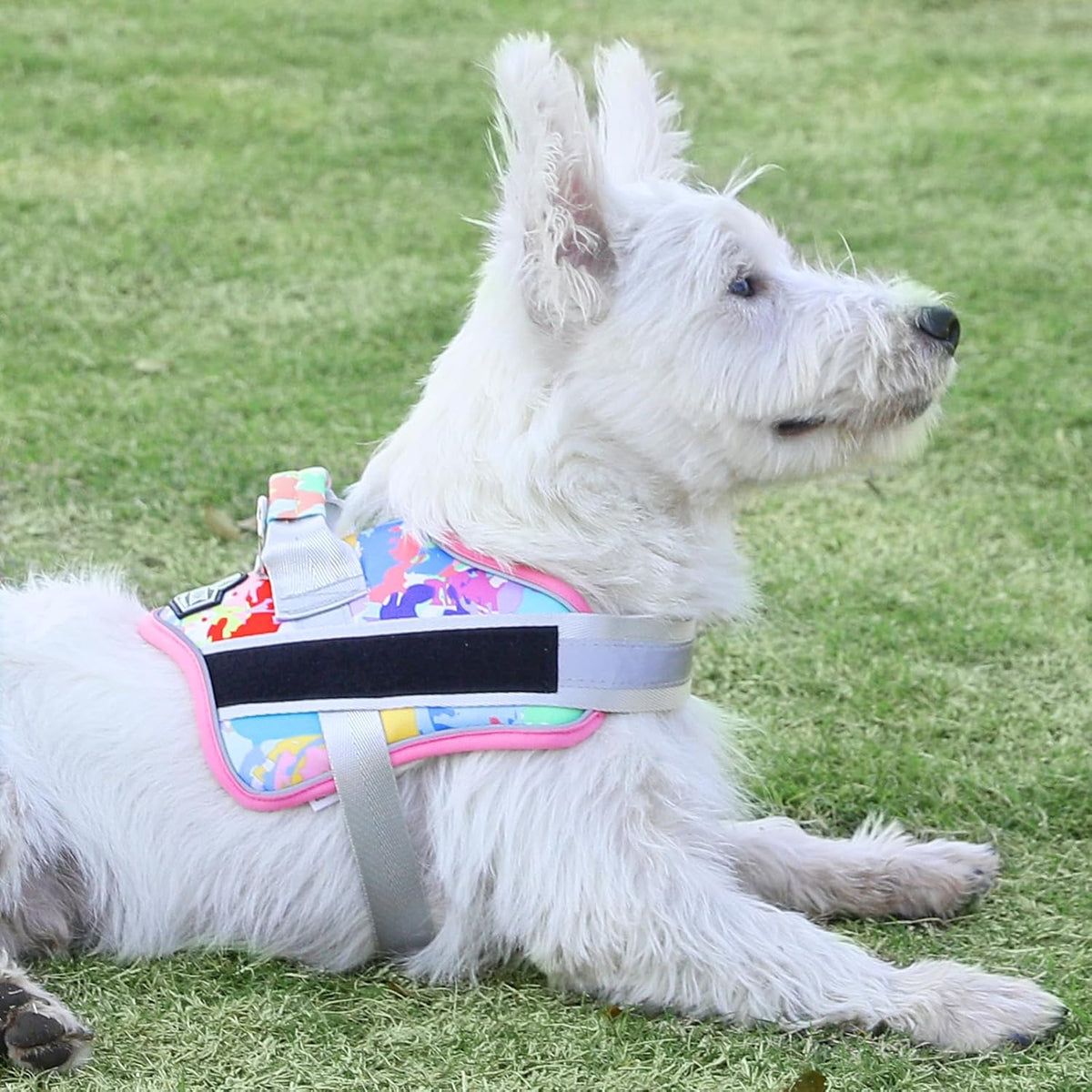 Bolux Dog Harness, No-Pull Reflective Dog Vest, Breathable Adjustable Pet Harness with Handle for
