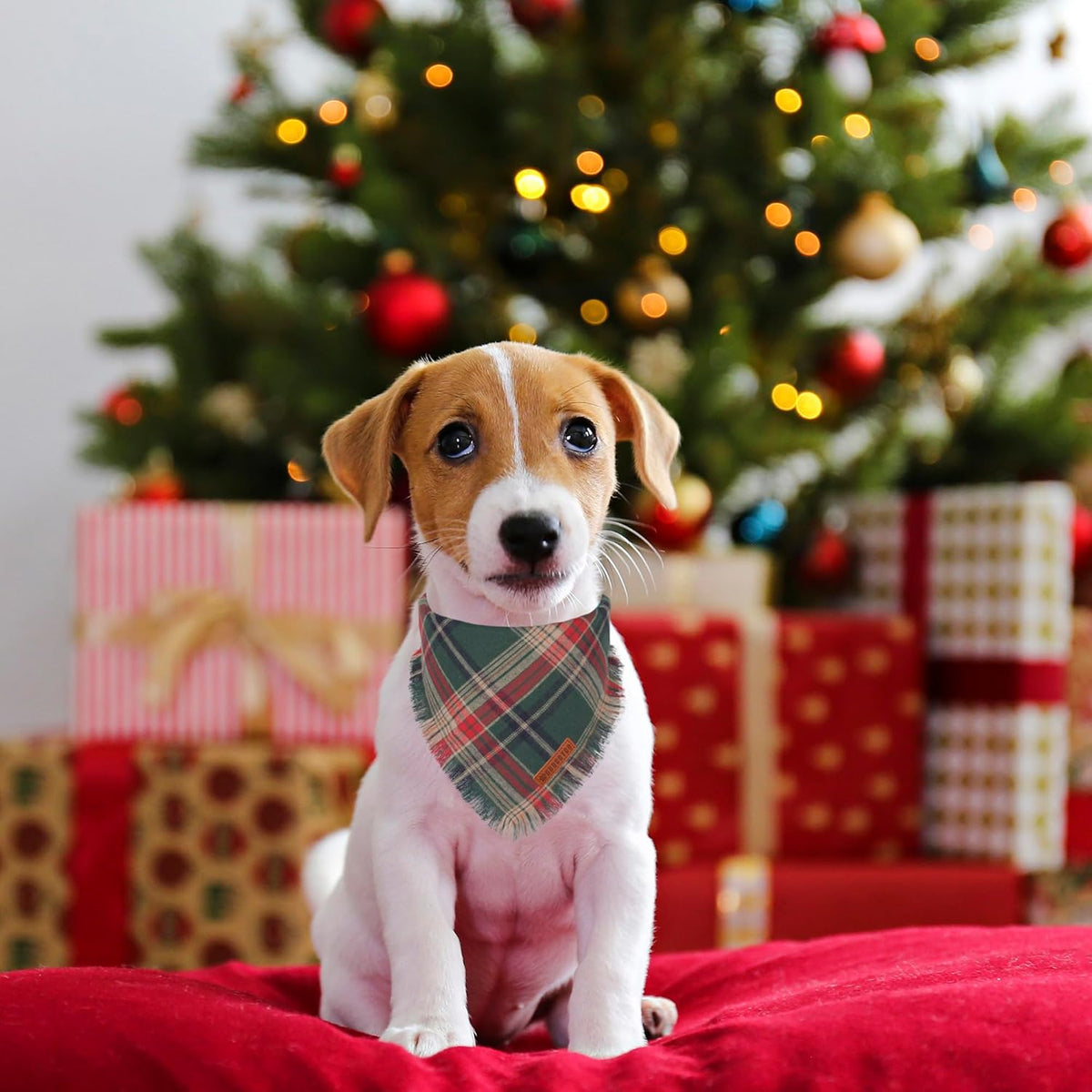 ADOGGYGO Christmas Dog Bandanas with Tassels Edges, Stylish Plaid Dog Christmas Scarf Bib, Multiple