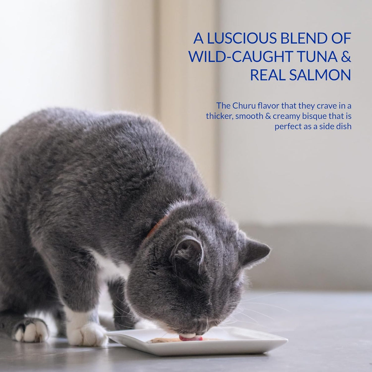 INABA Churu Bisque for Cats Senior 10+, Creamy Purée Side Dish Pouch, 1.4 Ounces per Pouch, 12