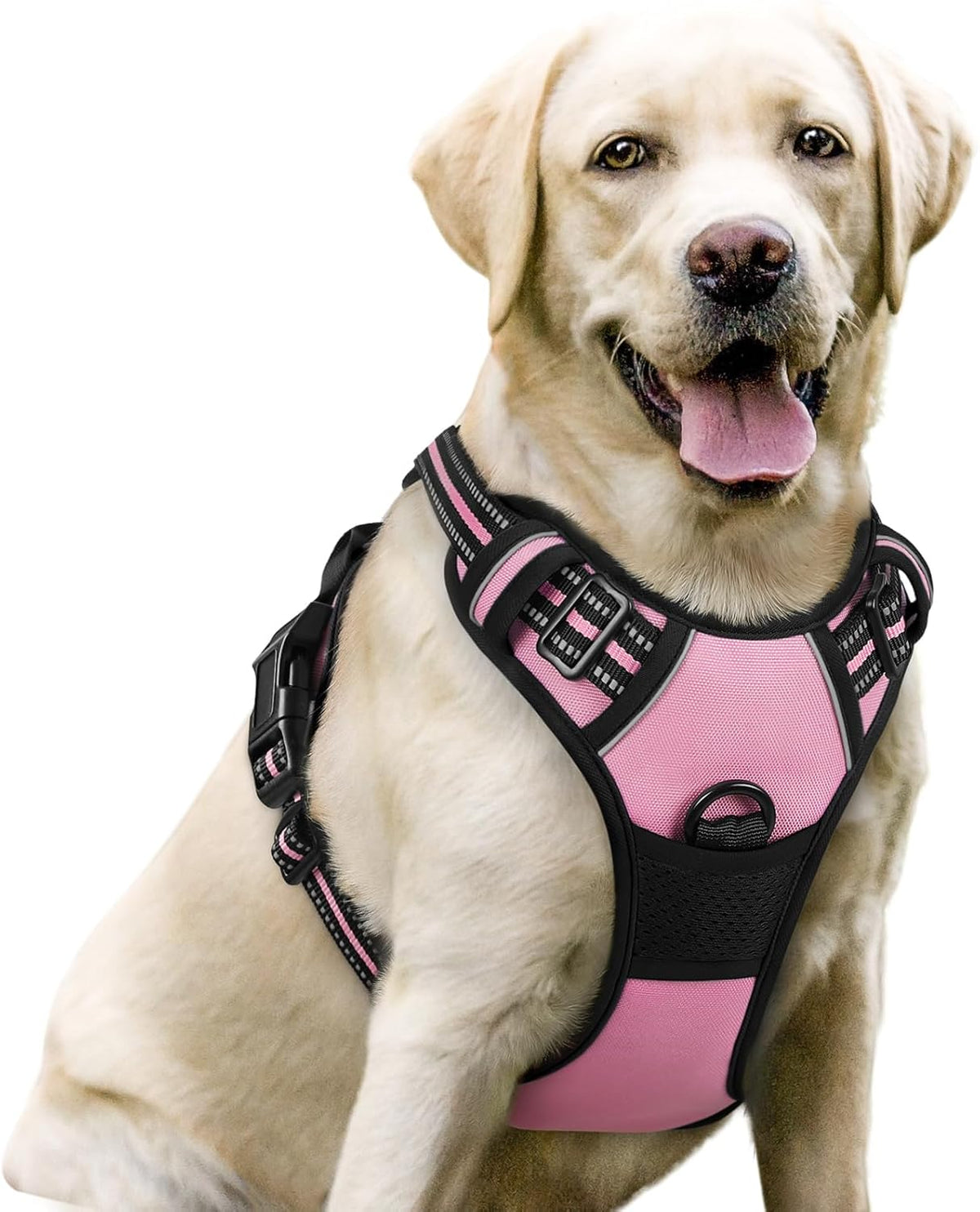 rabbitgoo Dog Harness No Pull with 2 Leash Clips, Adjustable Soft Padded, Reflective Oxford No