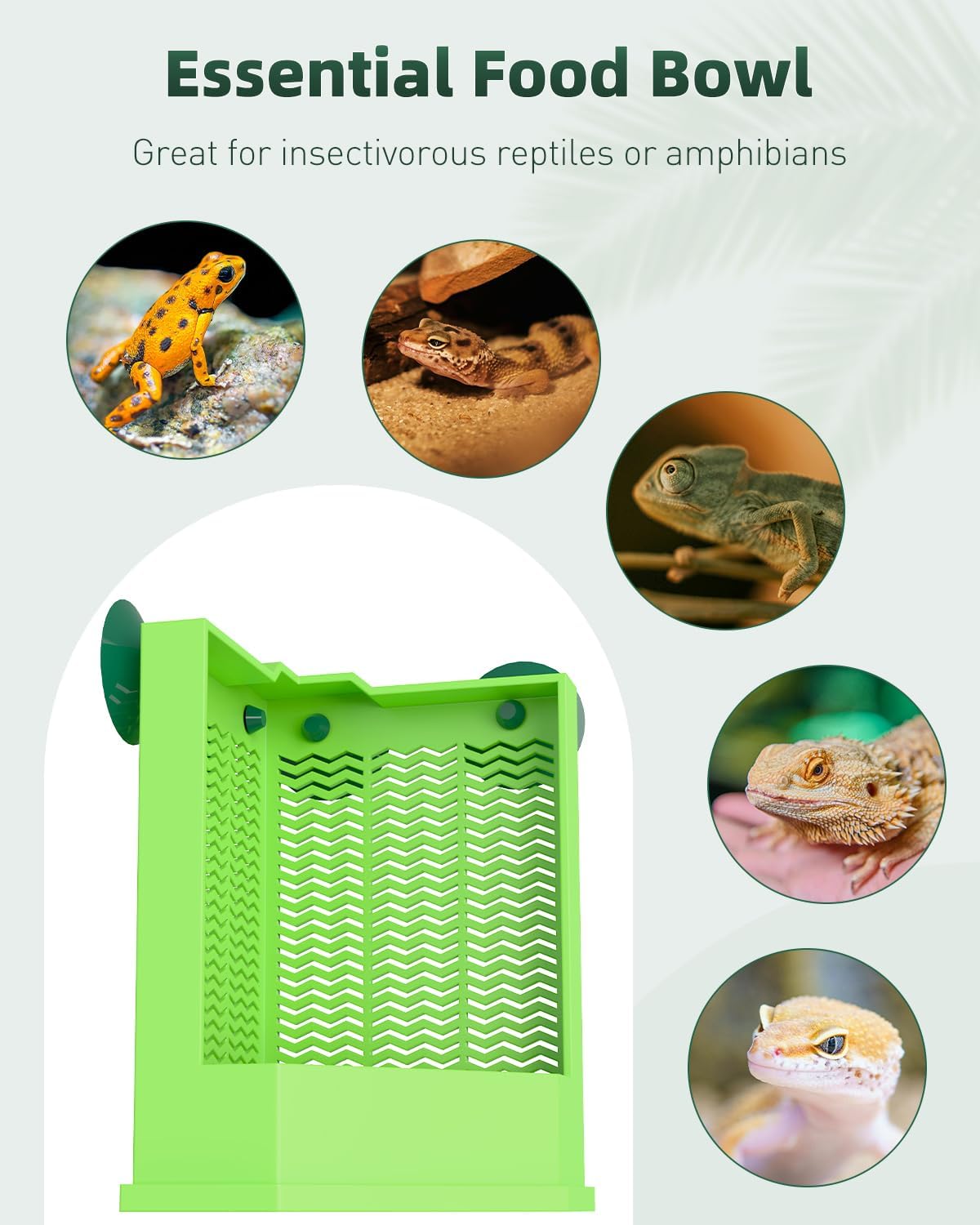 Pawfly Reptile Feeder Bowl - Escape-Proof Corner Hunting Dish, Wall-Mounted Insect Feeder for