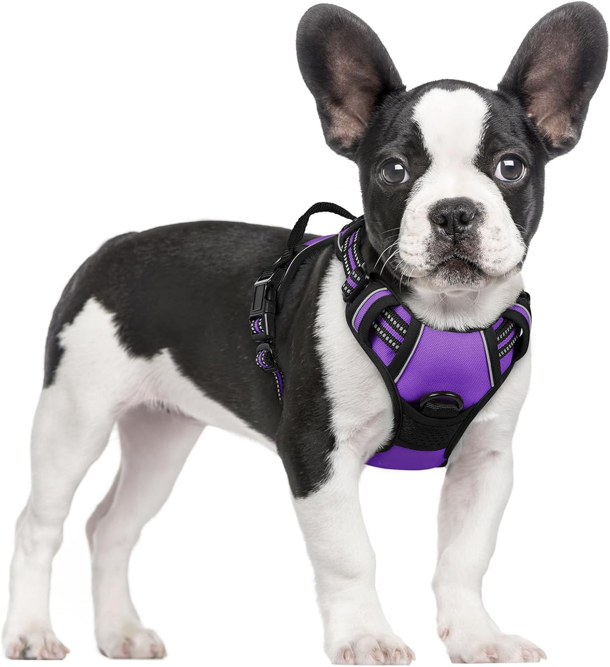 rabbitgoo Dog Harness No Pull with 2 Leash Clips, Adjustable Soft Padded, Reflective Oxford No