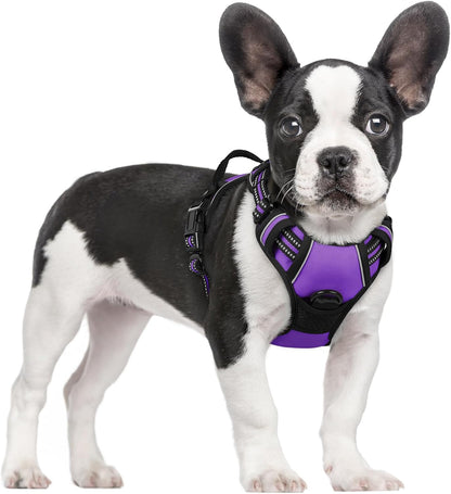 rabbitgoo Dog Harness No Pull with 2 Leash Clips, Adjustable Soft Padded, Reflective Oxford No