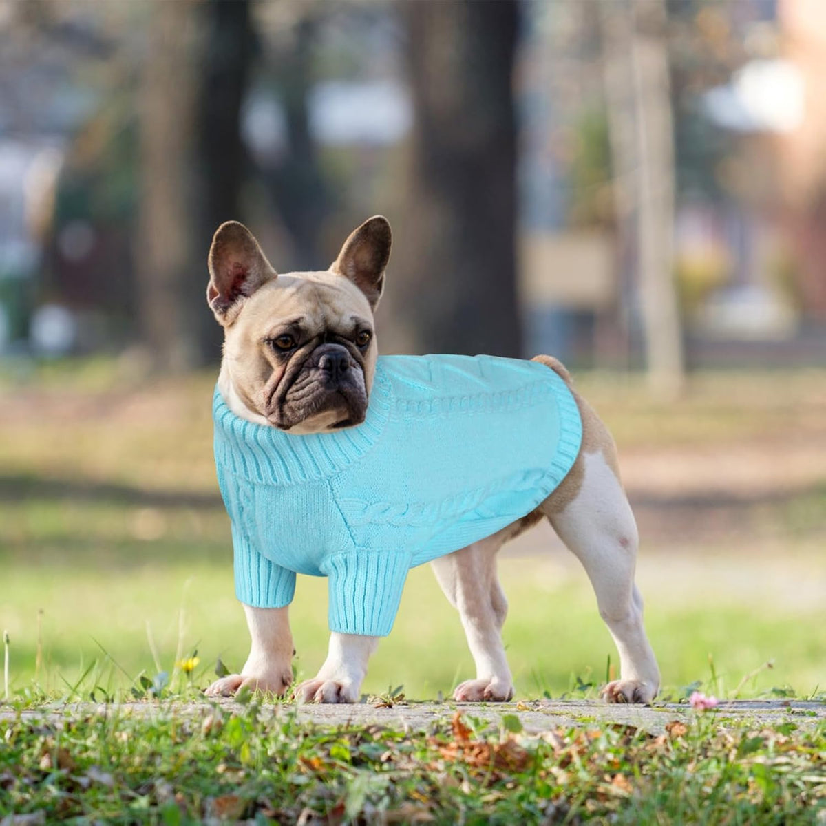 Queenmore Dog Sweater for Large Size Pet,Pitbull Dog Sweater,XXL Doggy Sweater for Labrador