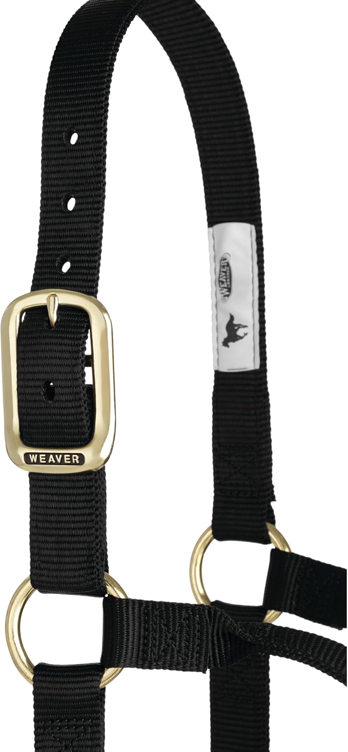 Weaver Equine Nylon Horse Halter, Triple-Ply Cheek Design, Original Non Adjustable Halters for