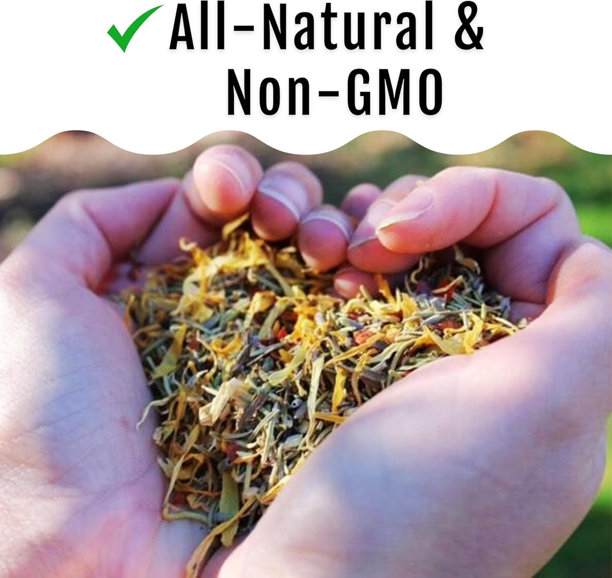 BuffClucks Herb Supplement for Backyard Chickens - Natural Chicken Treats, Poultry Feed Botanical
