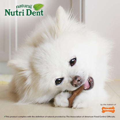 Nylabone Nutri Dent Dog Dental Chews - Natural Dog Teeth Cleaning & Breath Freshener - Dental