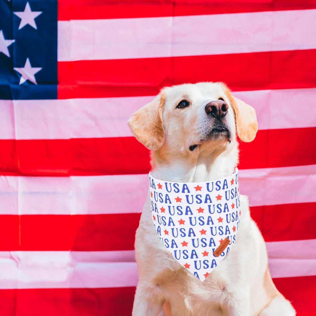 ADOGGYGO 4th of July Dog Bandanas, American Flag Pet Scarf, Multi Size Offered, White Blue Flag