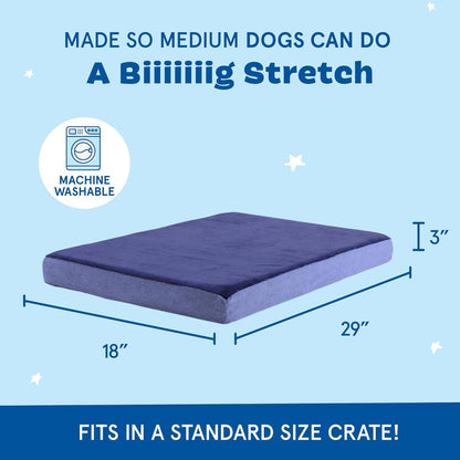 Barkbox Orthopedic Dog Bed with Memory Foam, Premium Comfort for Dogs and Puppies, Dog Bed for