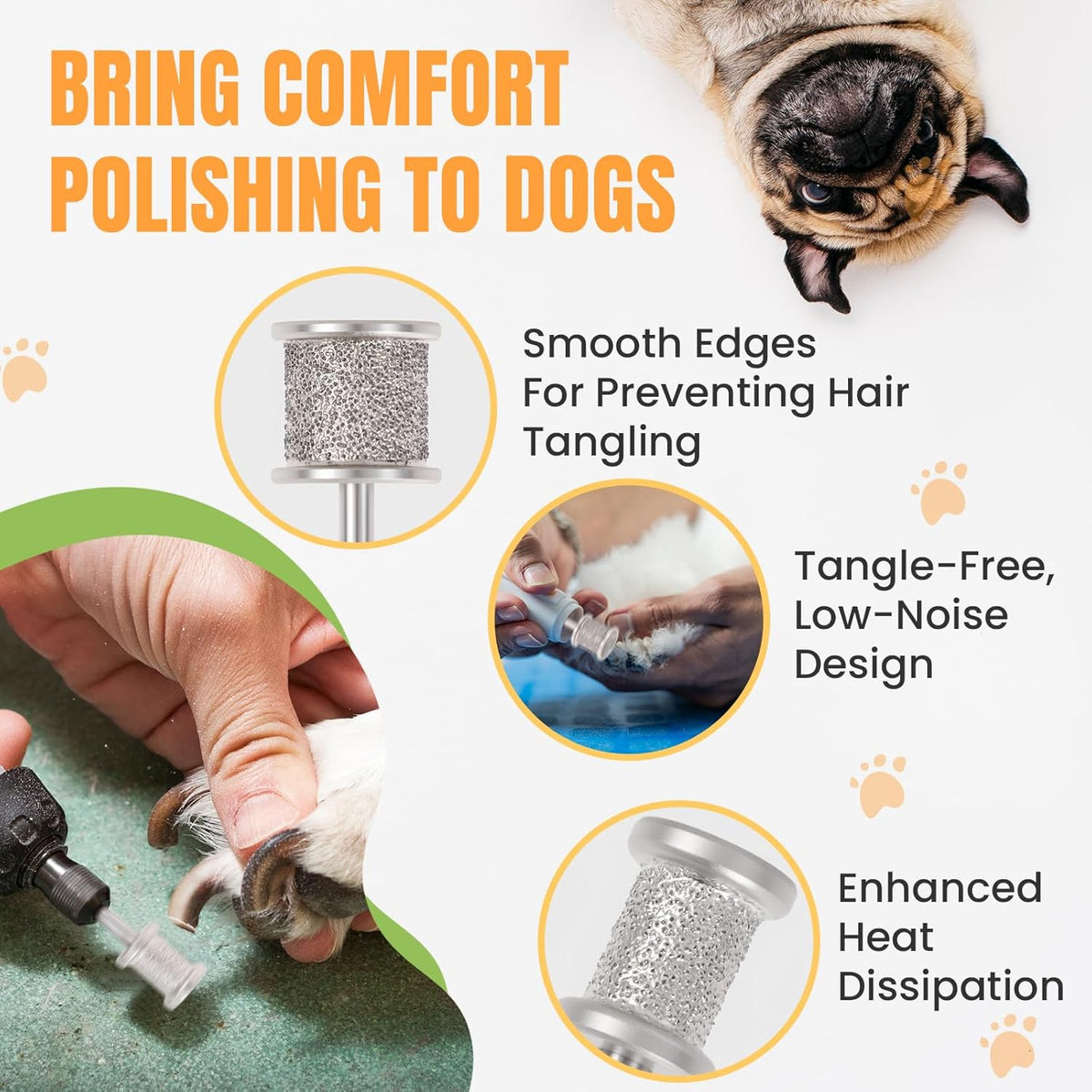 CAELUM 2Pack Diamond-Coated Pet Nail Grinder Bits, Dual Grit for Large & Small Dogs, 1/8” Shank for
