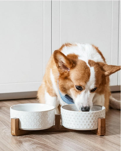 LE TAUCI Ceramic Dog Bowls with Acacia Wood Stand - 7 Inch Food & Water Set for Medium-Large Dogs