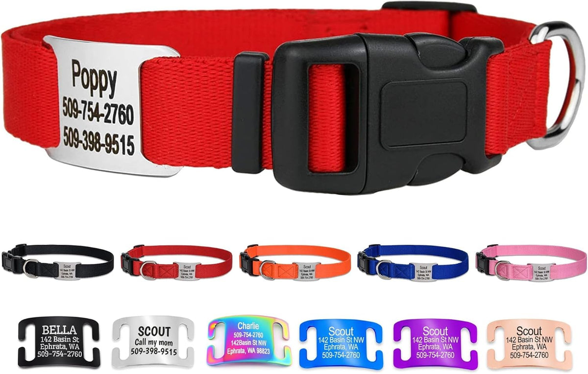 GoTags Personalized Dog Collar with Nameplate, Adjustable Dog Collar with Custom Engraved Slide On