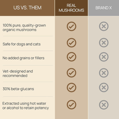 Real Mushrooms Lion’s Mane Pet Mushroom Supplement – Pet Wellbeing Capsules – for Cat & Dog