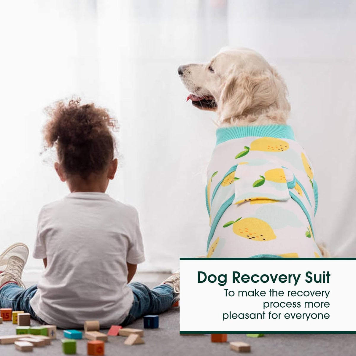 Kuoser Recovery Suit for Dogs Cats After Surgery, Professional Pet Recovery Shirt Dog Abdominal