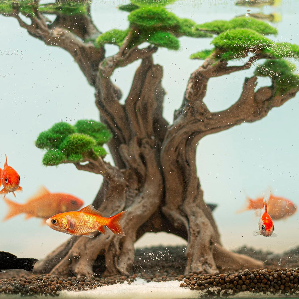 Fish Tank Decor- Bonsai Tree of The Forest with Faux Moss- Aquarium Decoration Aquascaping- Made of