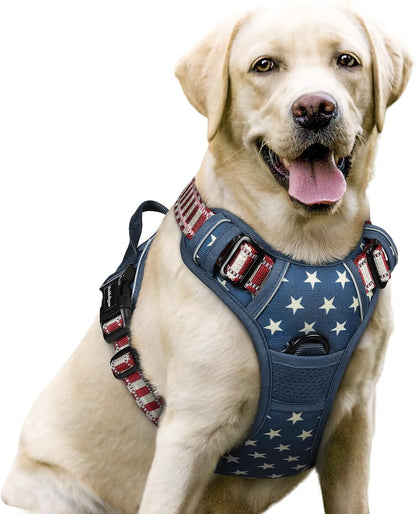 rabbitgoo Dog Harness No Pull with 2 Leash Clips, Adjustable Soft Padded, Reflective Oxford No